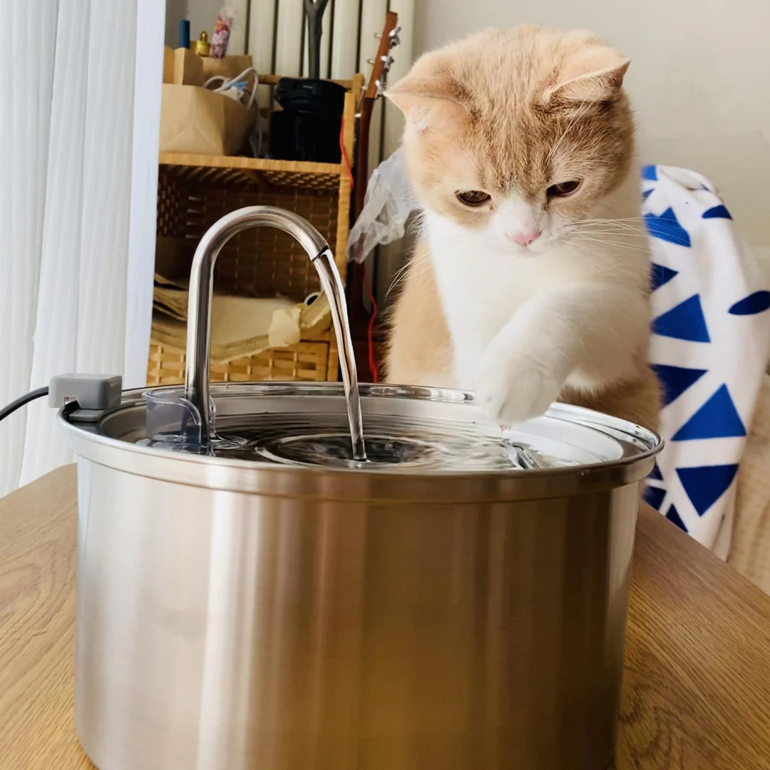 Paws & Puddles: An Automated Pet Fountain
