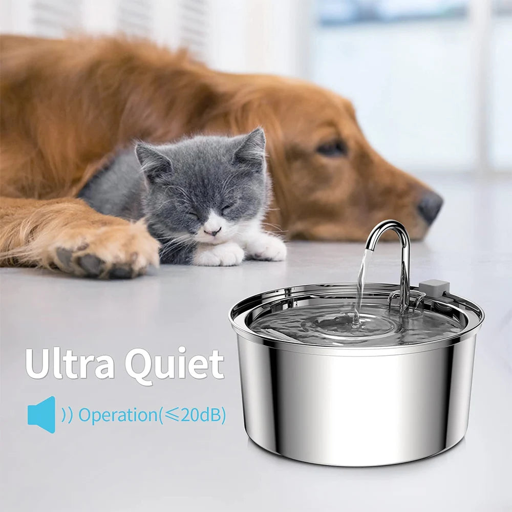 Automatic Water Fountain