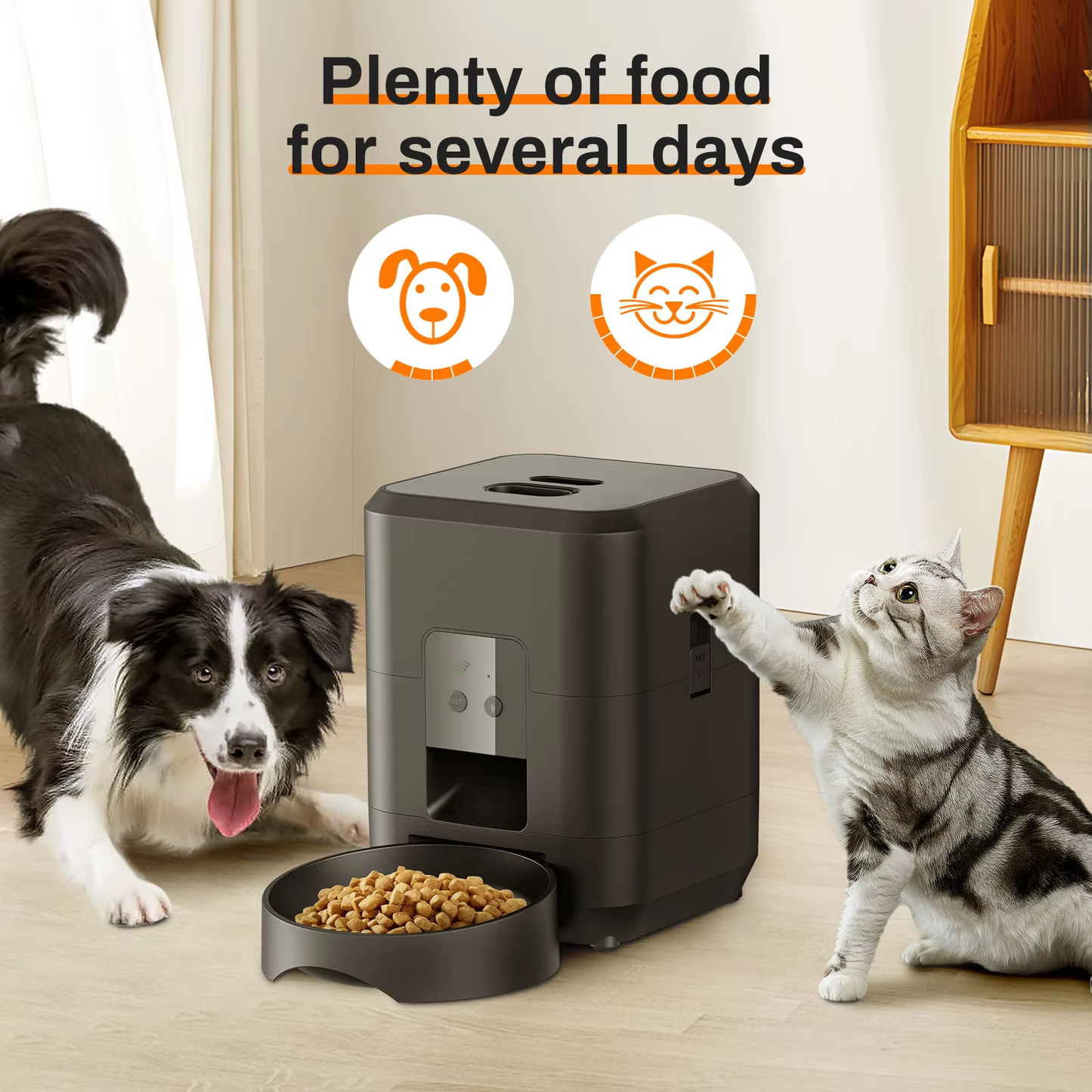 Zyphorix : A Simple Solution for Feeding Your Pet