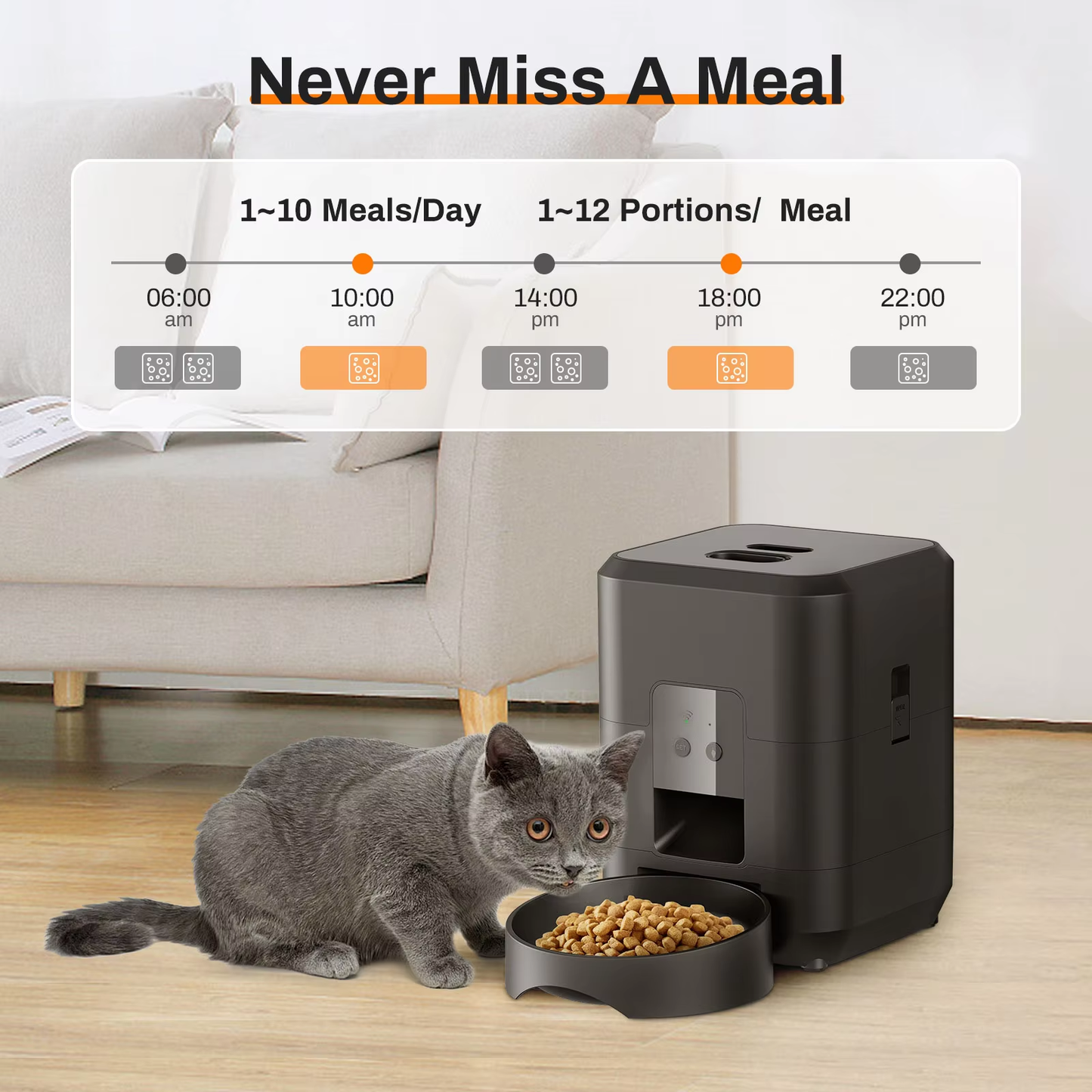 Zyphorix : A Simple Solution for Feeding Your Pet