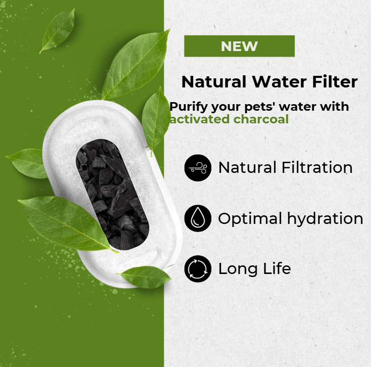 Natural Water Filter