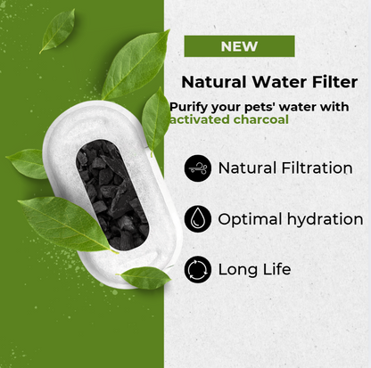 Natural Water Filter